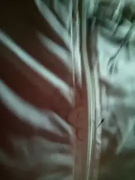 sowbibi online show from 28, 2, 2026