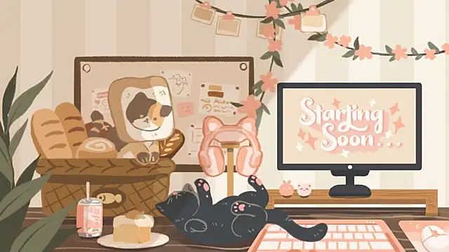 Snapshot of geekycastillo chatting on 13, 3, 2026 geekycastillo online show from 13, 3, 2026