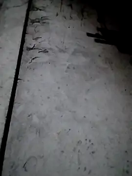 Snapshot of rickkis2k chatting on 13, 12, 2025 rickkis2k online show from 13, 12, 2025