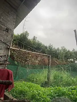 Irin jo online show from 1, 2, 2026