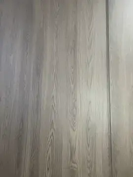 Evelinmiller97 online show from 1, 11, 2025