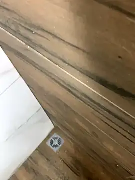 bfelipedasilva online show from 25, 10, 2025