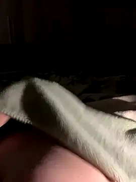 bfelipedasilva online show from 28, 10, 2025