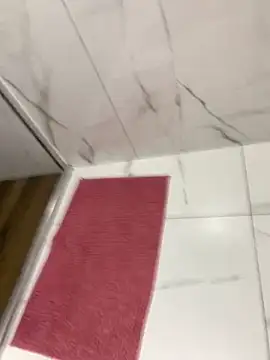 bfelipedasilva online show from 23, 11, 2025