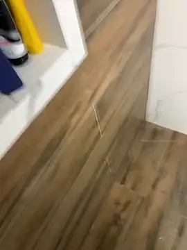 bfelipedasilva online show from 21, 12, 2025