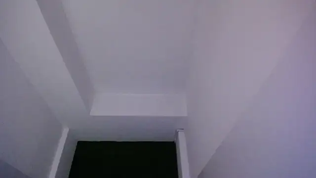 velvetvixen t online show from 20, 12, 2025