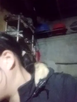 Noelle-e online show from 3, 2, 2026