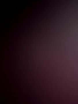 WildNour online show from 18, 11, 2025