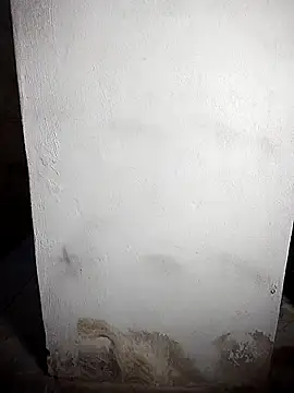 Snapshot of BD_228 chatting on 19, 2, 2026 BD 228 online show from 19, 2, 2026