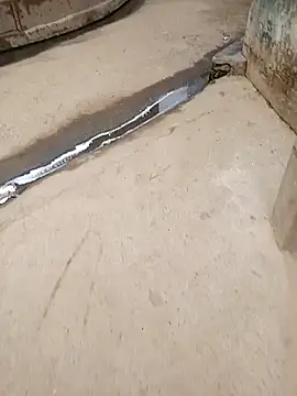 Snapshot of Pandey0012 chatting on 28, 10, 2025 Pandey0012 online show from 28, 10, 2025