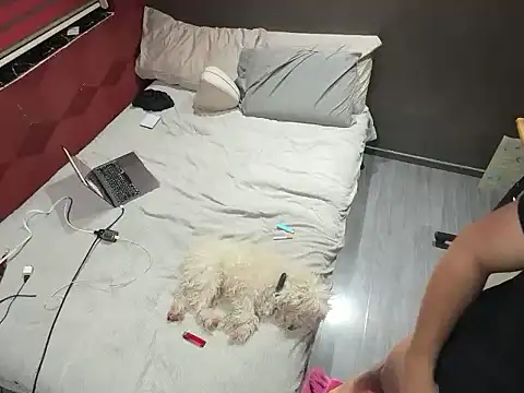 Snapshot of Bbydaddy_0 chatting on 19, 1, 2026 Bbydaddy 0 online show from 19, 1, 2026