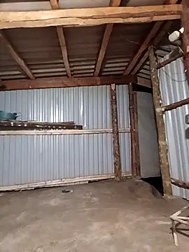 matbiec- online show from 19, 12, 2025