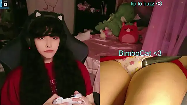 BimboCat online show from 11, 6, 2026