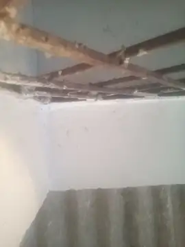 Snapshot of Pallu_Asha chatting on 15, 3, 2026 Pallu Asha online show from 15, 3, 2026