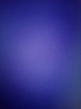 Snapshot of Pallu_Asha chatting on 16, 3, 2026 Pallu Asha online show from 16, 3, 2026