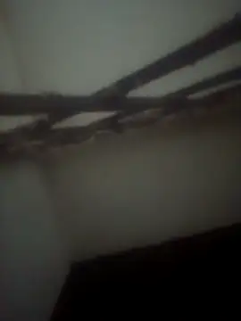 Snapshot of Pallu_Asha chatting on 28, 4, 2026 Pallu Asha online show from 28, 4, 2026