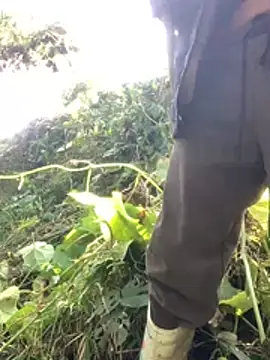 bi-bo123 online show from 12, 1, 2026