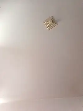 Ricardotarado online show from 6, 11, 2025