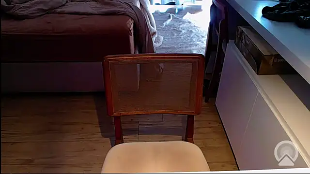 Snapshot of Professor__Discreto chatting on 2, 7, 2026 Professor Discreto online show from 2, 7, 2026