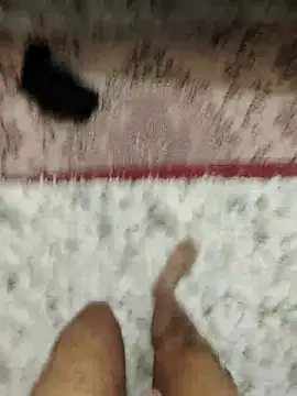 Your lover real online show from 4, 12, 2025