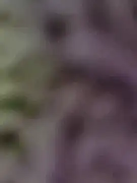 Hot-Sana2 online show from 13, 1, 2026