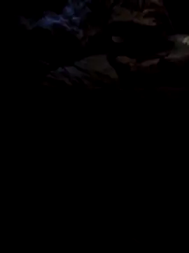 1990Mido online show from 13, 4, 2026