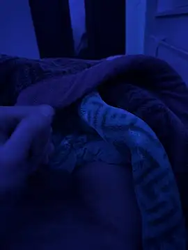 Snapshot of jafop098864 chatting on 2, 3, 2026 jafop098864 online show from 2, 3, 2026