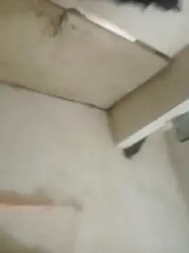 Jooli cuty online show from 26, 11, 2025