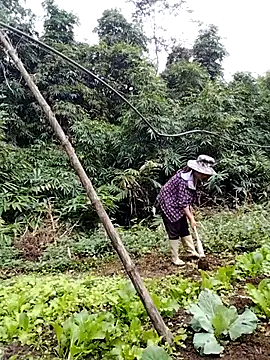 be-yeu online show from 5, 11, 2025