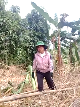 be-yeu online show from 2, 12, 2025