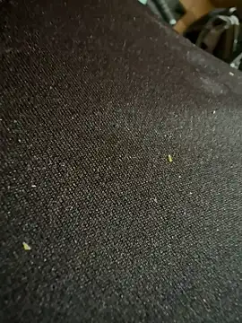 Snapshot of caramello-48888 chatting on 16, 2, 2026 caramello-48888 online show from 16, 2, 2026