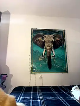 alisaa jhons1 online show from 14, 12, 2025