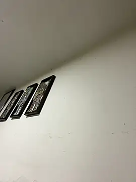 gatito polo69 online show from 6, 1, 2026