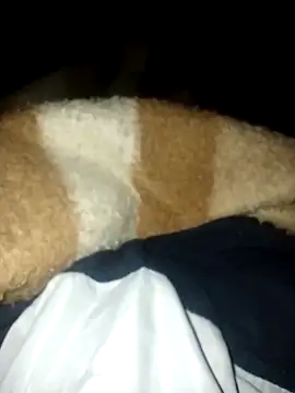 Snapshot of Azo3zgju chatting on 23, 11, 2025 Azo3zgju online show from 23, 11, 2025