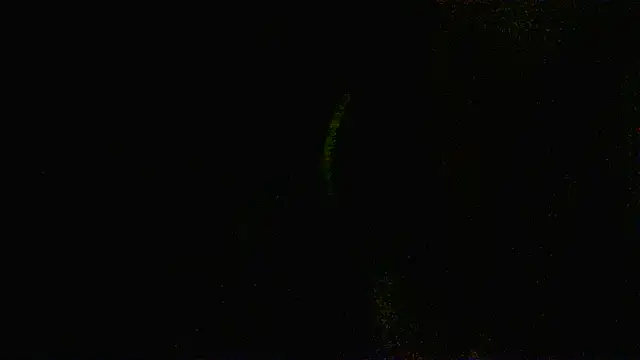 Snapshot of Zulreyna chatting on 6, 5, 2026 Zulreyna online show from 6, 5, 2026