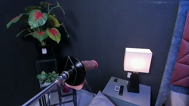 Amy whittee online show from 27, 3, 2026