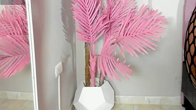 Snapshot of Tamaramilleer chatting on 2, 2, 2026 Tamaramilleer online show from 2, 2, 2026