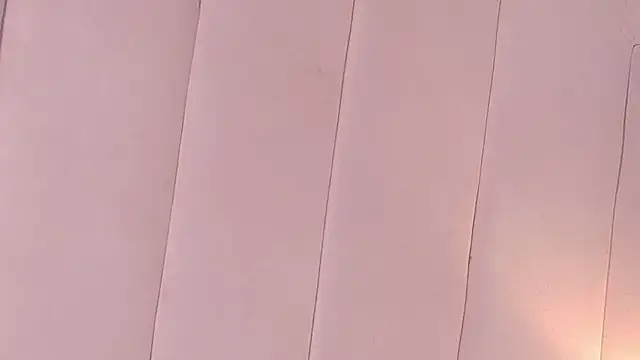 Snapshot of LannyShell chatting on 11, 3, 2026 LannyShell online show from 11, 3, 2026