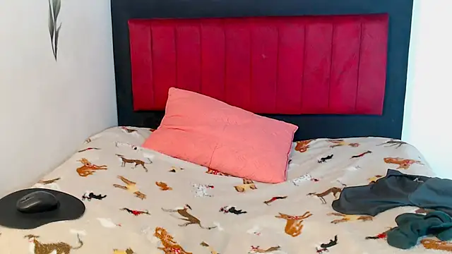 Snapshot of AMARYXS chatting on 13, 2, 2026 AMARYXS online show from 13, 2, 2026