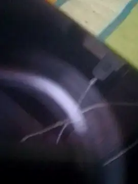 crazy boy55 online show from 21, 12, 2025