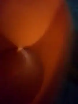 Snapshot of WillfulVideo chatting on 24, 3, 2026 WillfulVideo online show from 24, 3, 2026