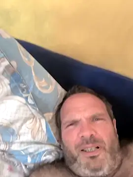 marchigiana online show from 11, 11, 2025