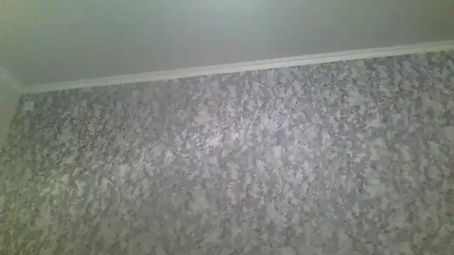 antosha555 online show from 29, 11, 2025