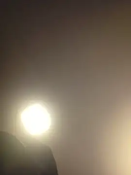 Snapshot of piggylatino chatting on 19, 3, 2026 piggylatino online show from 19, 3, 2026