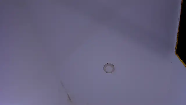 tiven-prince online show from 10, 1, 2026