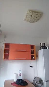 Snapshot of Dale_E chatting on 28, 1, 2025 Dale E online show from 28, 1, 2025