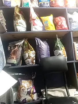 eva rushh online show from 9, 3, 2026