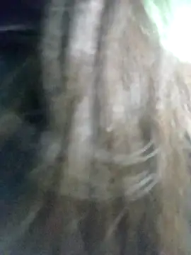 Disha Nur0 online show from 7, 2, 2026