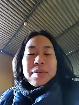 Cat-meow online show from 26, 11, 2025