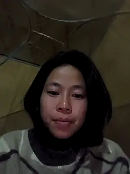 Cat-meow online show from 29, 11, 2025